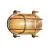 Nordlux Helford Wandlamp Glas Messing | IP64 - Geschikt voor E27